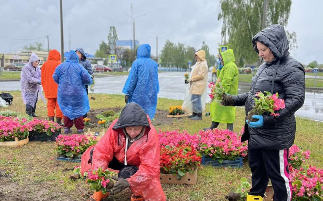 Красота города в наших руках💐🙏