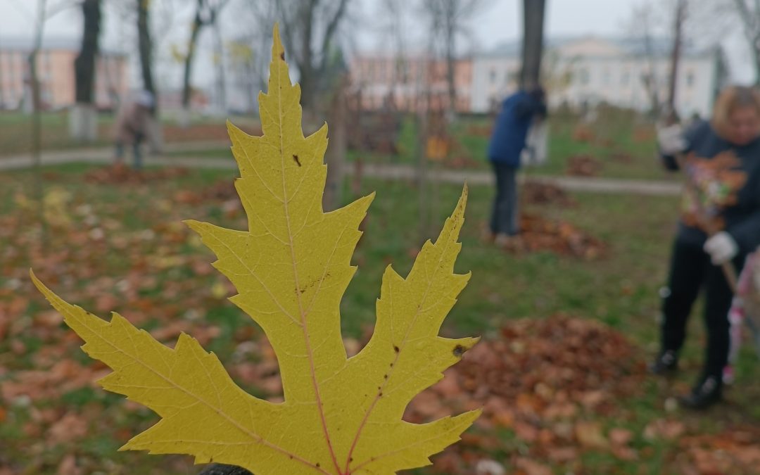 Наведение порядка🧹